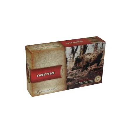CARTOUCHE NORMA calibre 280REM plastic point 170GR 11g x20