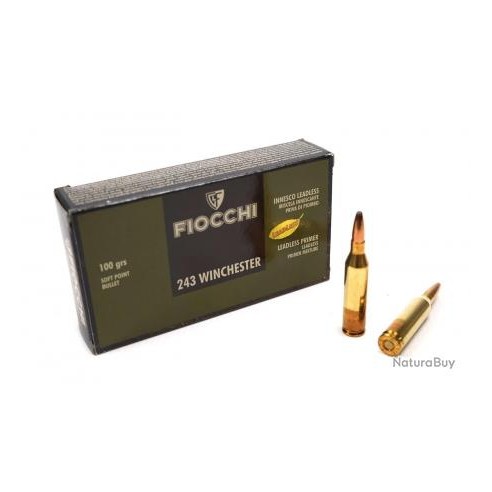 CARTOUCHES FIOCCHI calibre 243 WIN SP 100grs x20