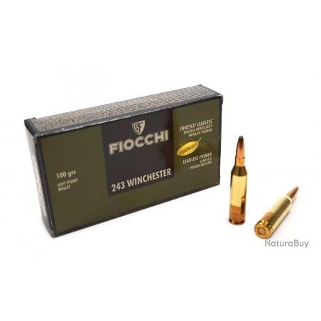 CARTOUCHES FIOCCHI calibre 243 WIN SP 100grs x20