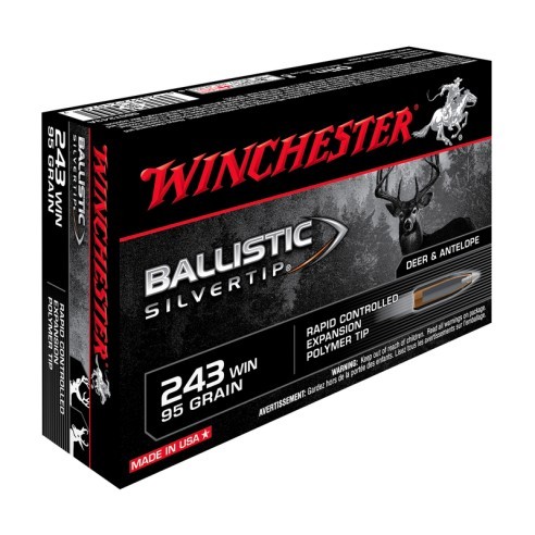 CARTOUCHE WINCHESTER calibre 243Win 95grs BST x20