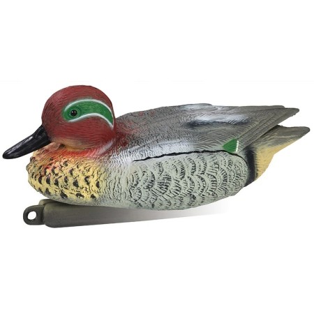 Appelant sarcelle male