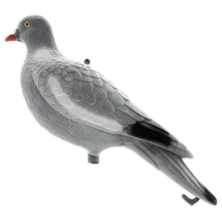 Appelant pigeon velours