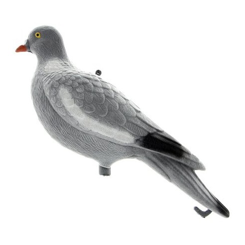 Appelant pigeon velours