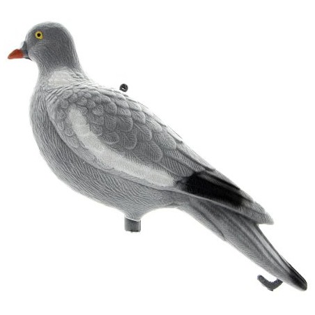 Appelant pigeon velours