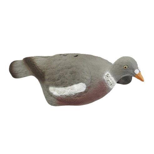 Appelant pigeon anglais