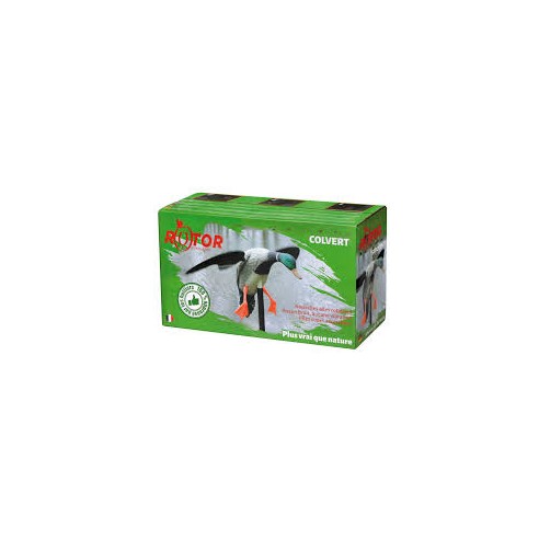 Appelant stepland rotor colvert