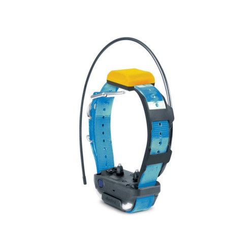 Collier dogtra gps pathfinder 2 -collier bleu...