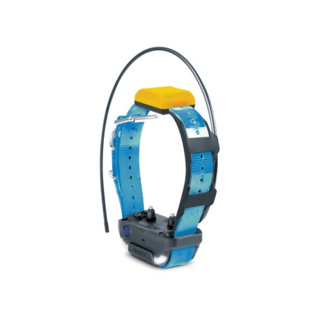 Collier dogtra gps pathfinder 2 -collier bleu supplémentaire