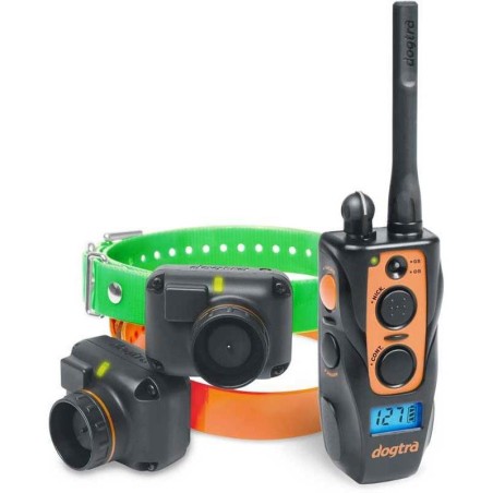 Collier dogtra 2602 T&B