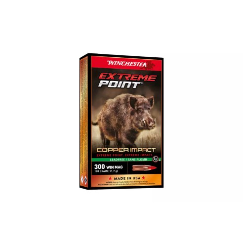 CARTOUCHE WINCHESTER 30-06 EXTREME POINT LEAD...