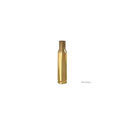 Douilles WINCHESTER calibre 222 REM x100