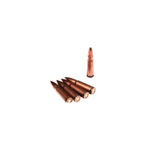 Cartouches IRON calibre 7.62x39 FMJ 123.5g x500