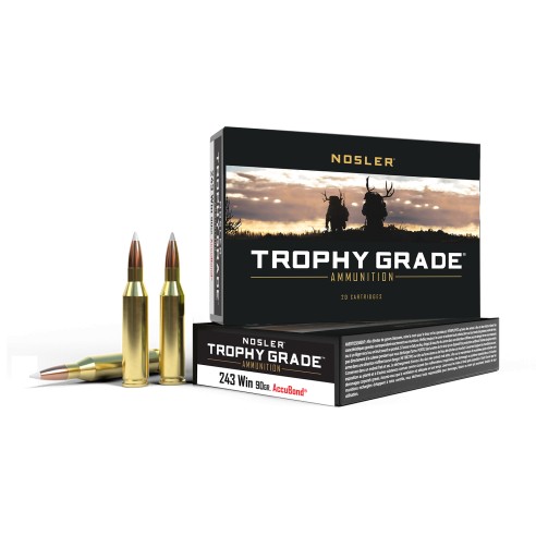 Cartouches NOSLER calibre 243 Win trophy...