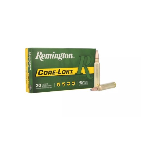 CARTOUCHES REMINGTON 300WM 180GR CORE LOKT x20