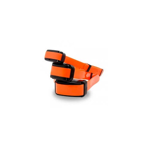 Collier supplémentaire DOGTRACE D-control...