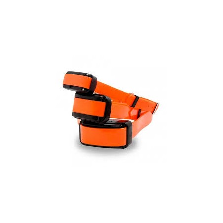 Collier supplémentaire DOGTRACE D-control Professional 1000