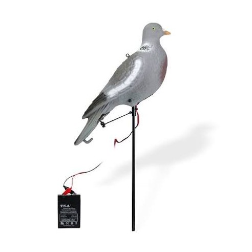Appelant pigeon picoreur électrique