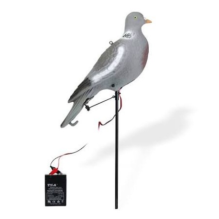 Appelant pigeon picoreur électrique